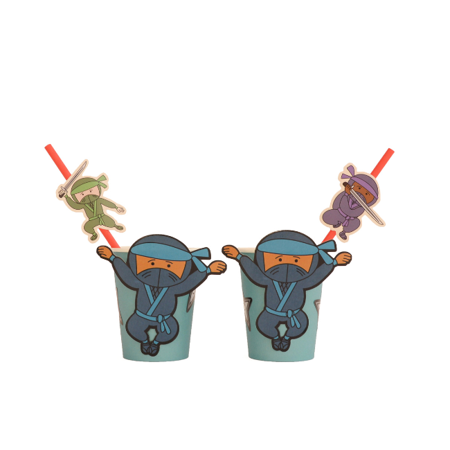 Ninja-Themed | Party in a Box